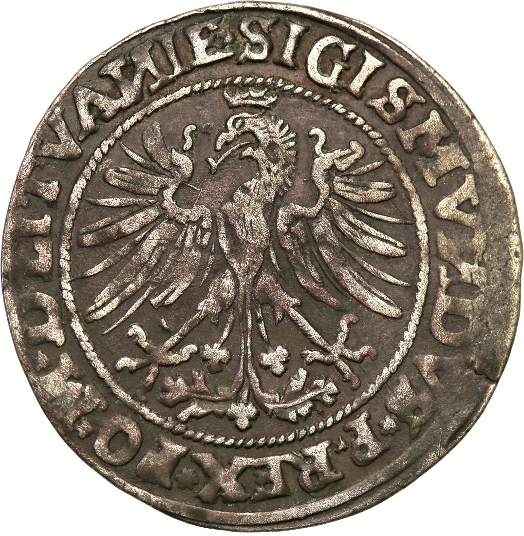 Zygmunt I Stary. Grosz 1535, Wilno